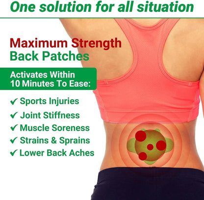 Herbal Back Pain Relief Patch – Long Lasting Heating Patch ( 20 PCS )