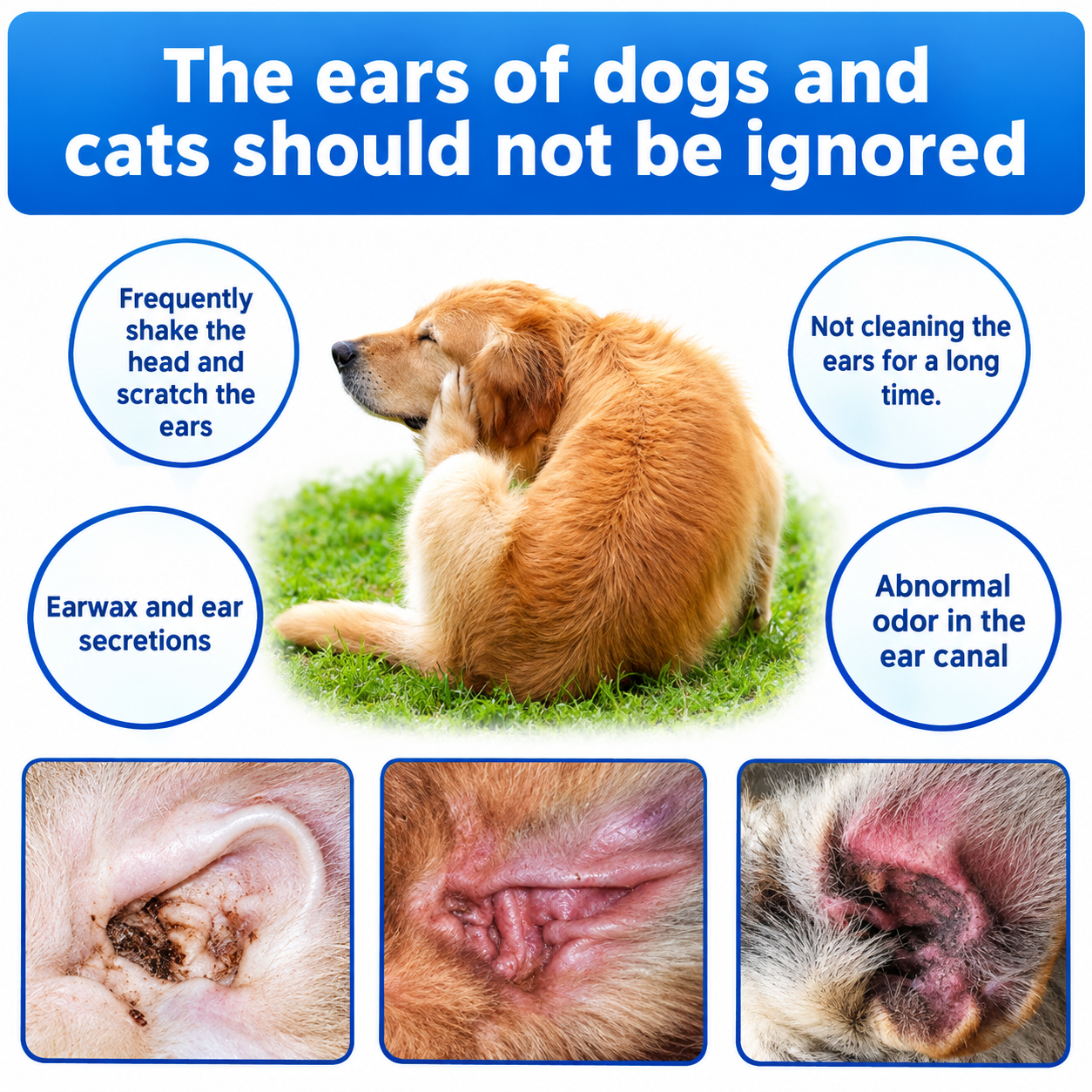 🐶🐱 Natural Pet Ear Rinse