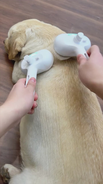 Advance Steam Brush for Pets